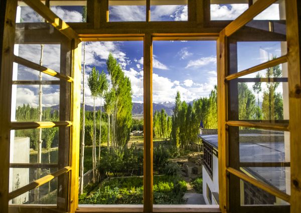 Cost of Wood Window Replacement in Melbourne